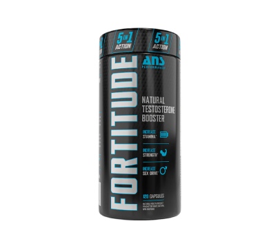 Fortitude I