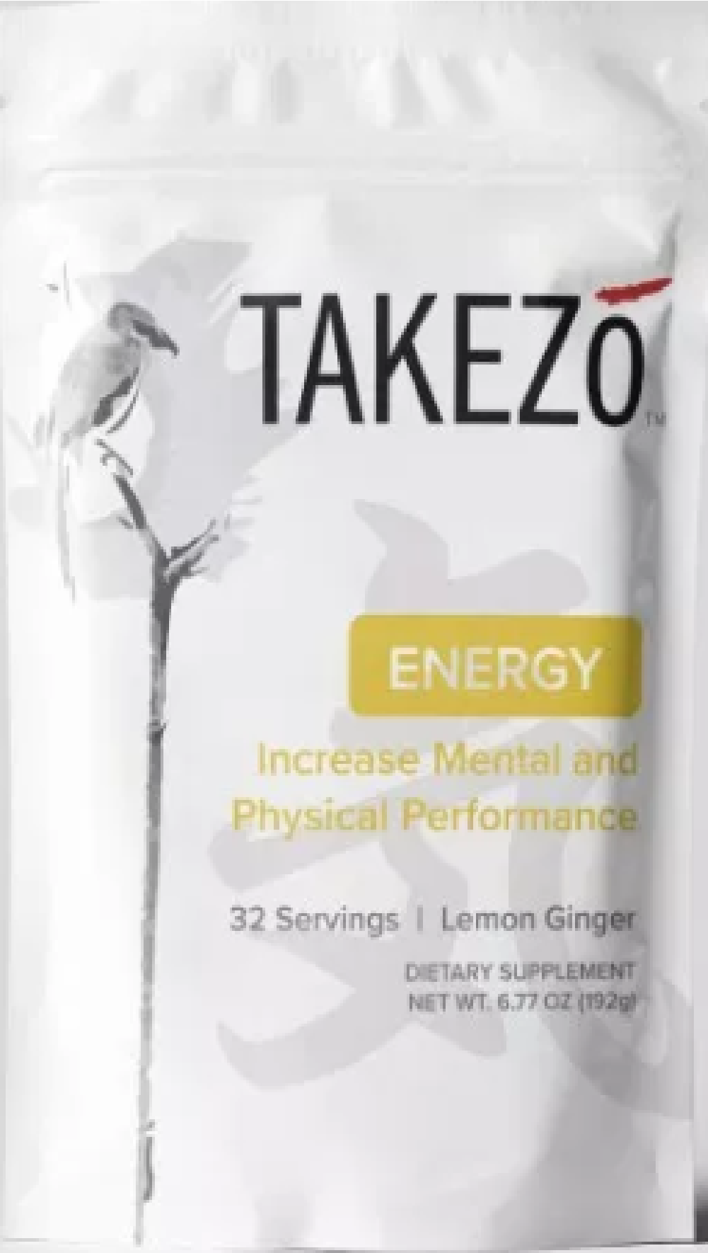 Takezo Energy